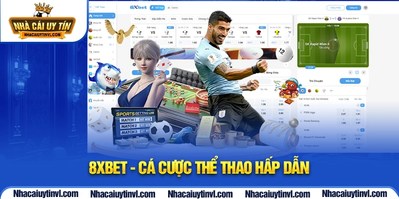 Tổng quan về nền tảng 8XBET